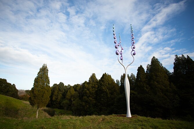 Matakana Art & Vineyard Experience incl. Lunch & Wine Tasting Tour From Auckland - What the $588.92 price really covers