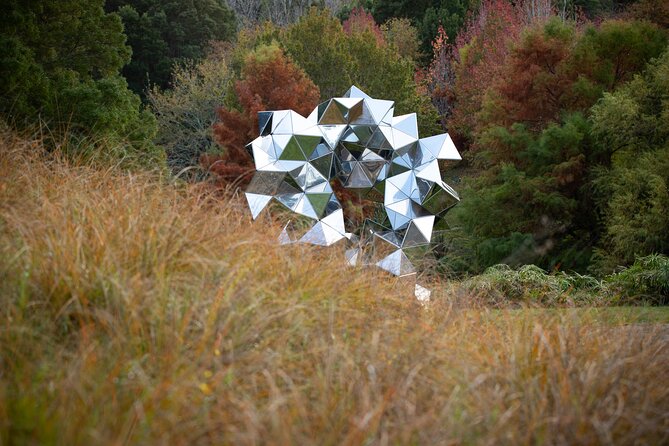 Matakana Art & Vineyard Experience incl. Lunch & Wine Tasting Tour From Auckland - Sculptureum offers a gentler art-and-nature pause