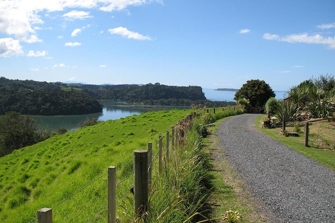 Matakana Scenic Coastal Getaway from Auckland - Key points to know