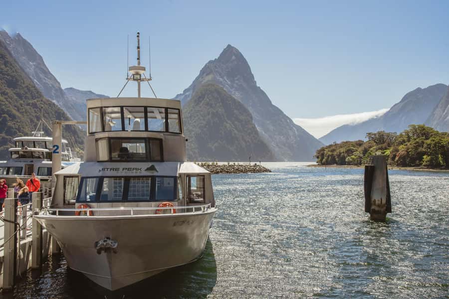 Milford Sound: 2-Hour Small Boat Scenic Cruise - Who will enjoy this Milford Sound cruise?