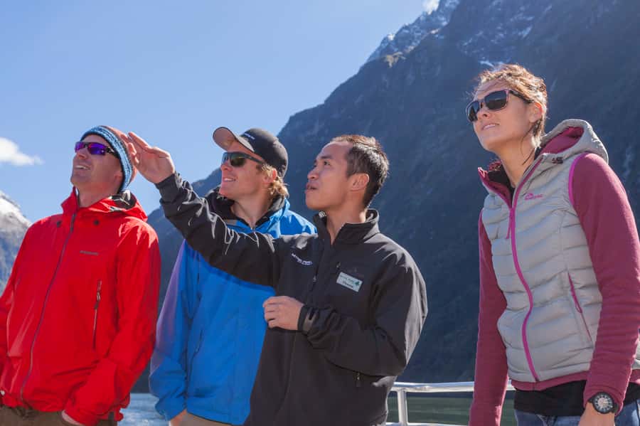 Milford Sound: 2-Hour Small Boat Scenic Cruise - Parking and getting to the terminal