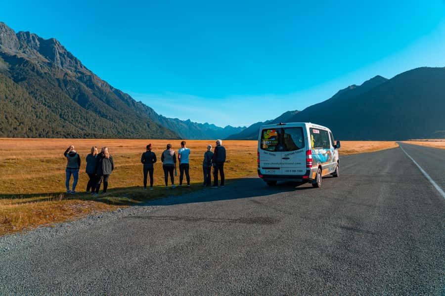 Milford Sound: Boutique Small-Boat Cruise - Wildlife along the cliffs