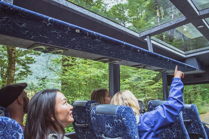 Milford Sound Coach and Cruise tour from Queenstown - The essential points before you book