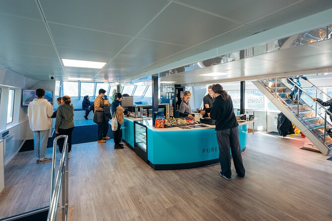 Milford Sound Coach and Cruise tour from Queenstown - Is $152.04 good value?