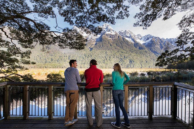 Milford Sound Coach & Cruise ex Te Anau Stunning Views with Lunch - Mirror Lakes rewards a short walk