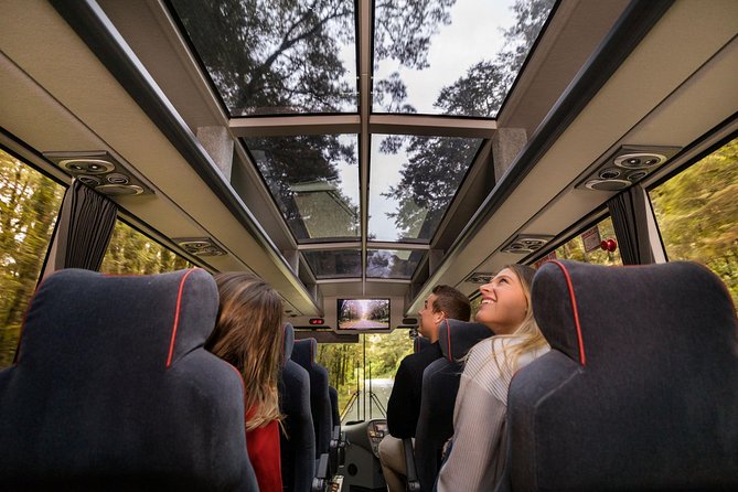 Milford Sound Coach & Cruise from Queenstown: Panoramic Views - Eglinton Valley and Mirror Lakes