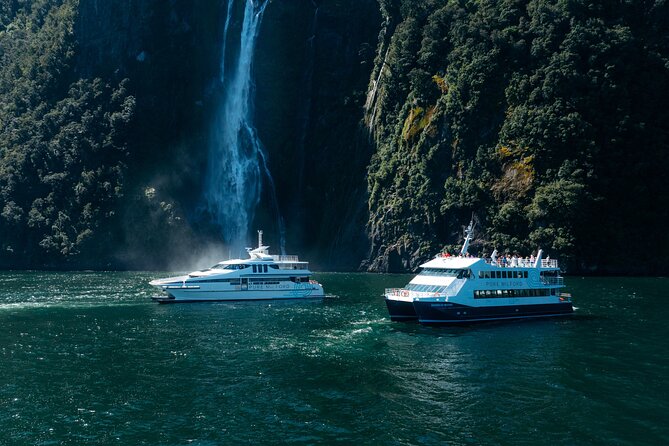 Milford Sound Cruise - Key points to know before you board