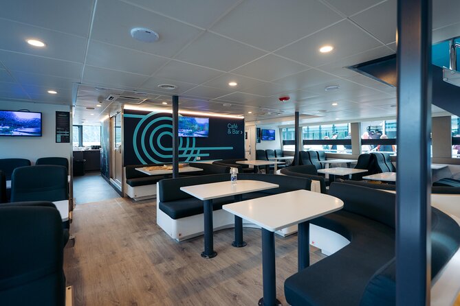 Milford Sound Cruise - Price and value at $89.98