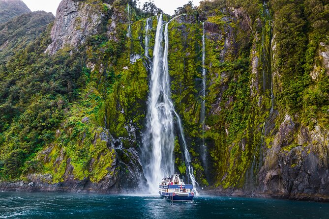 Milford Sound Cruise from Queenstown or Te Anau - Food, coffee, and what to pack