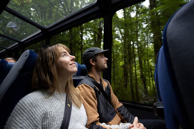 Milford Sound Cruise from Queenstown or Te Anau - Is $145.83 good value?