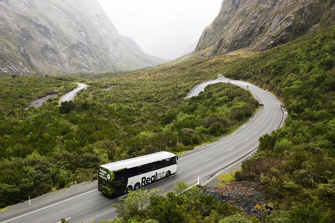 Milford Sound Cruise from Queenstown or Te Anau - Who should book this Milford Sound trip?