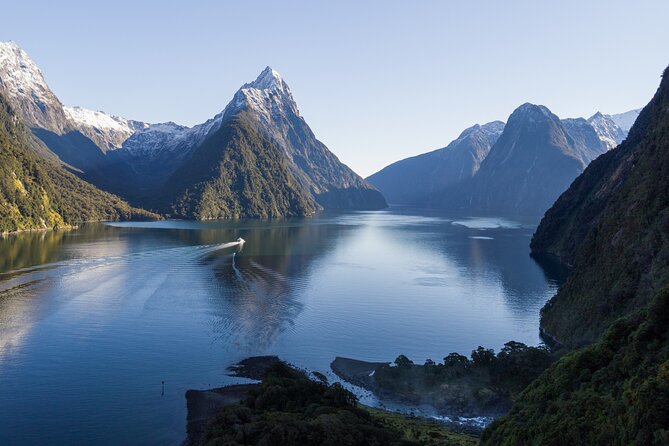 Milford Sound Cruise - RealNZ - Wildlife: keep your eyes on the water