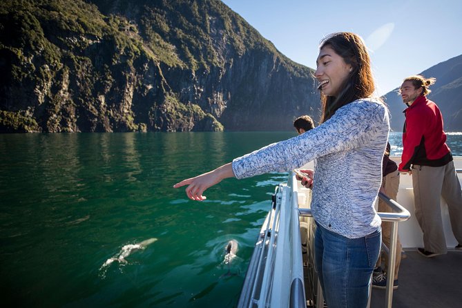 Milford Sound Cruise: Stunning Views & Optional Picnic or Buffet - Who Should Book This Milford Sound Cruise?