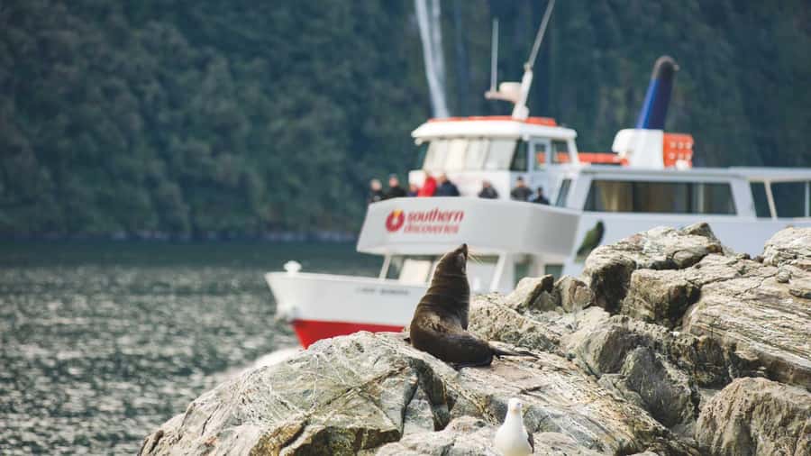 Milford Sound: Discover More on Our Longest Cruise - Why the extra 45 minutes matter