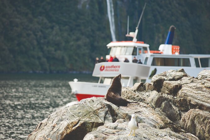 Milford Sound Extended Cruise with Southern Discoveries - Why the longer Milford Sound cruise matters