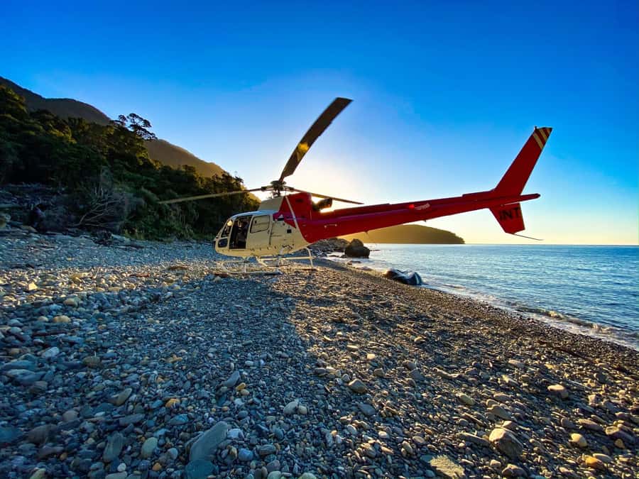 Milford Sound Extended Helicopter Flight & 3 Landings - Key points to know before booking