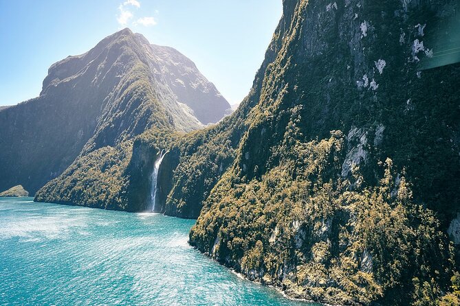 Milford Sound Luxury Lunch Cruise onboard The Fiordland Jewel - Wildlife from a smaller boat