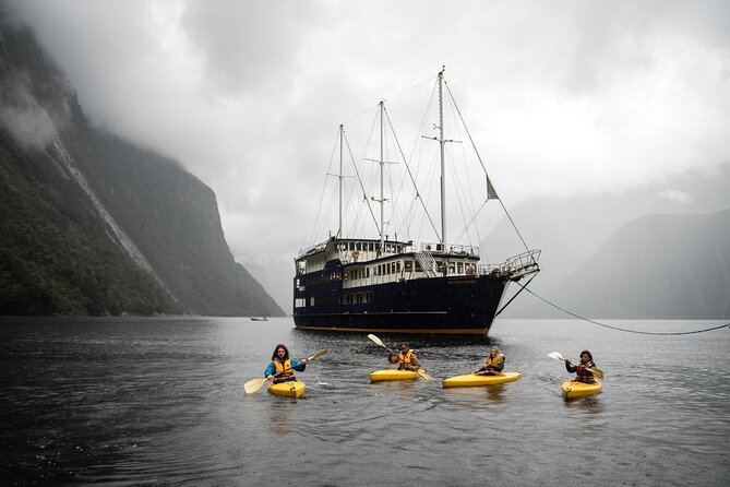 Milford Sound Mariner Overnight Cruise - Wildlife watching from the decks