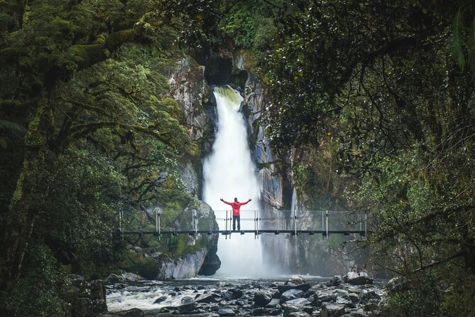 Milford Sound Nature Cruise and Self-Guided Scenic Track Walk - Key points to know before you book