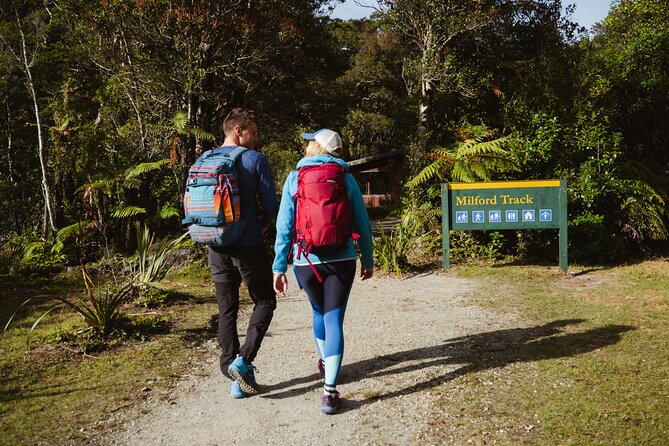 Milford Sound Nature Cruise and Self-Guided Scenic Track Walk - Why this Milford Sound combination works