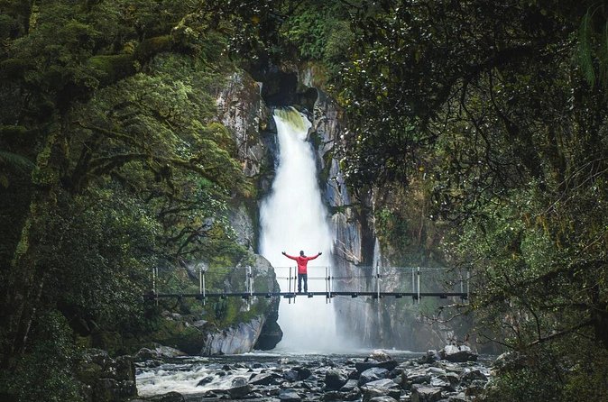 Milford Sound Nature Cruise and Self-Guided Scenic Track Walk - Who should book this Fiordland day?