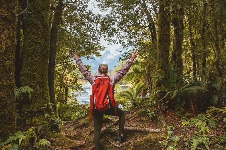Milford Sound: Nature Cruise & Milford Track Walk - Choosing the right order for your day
