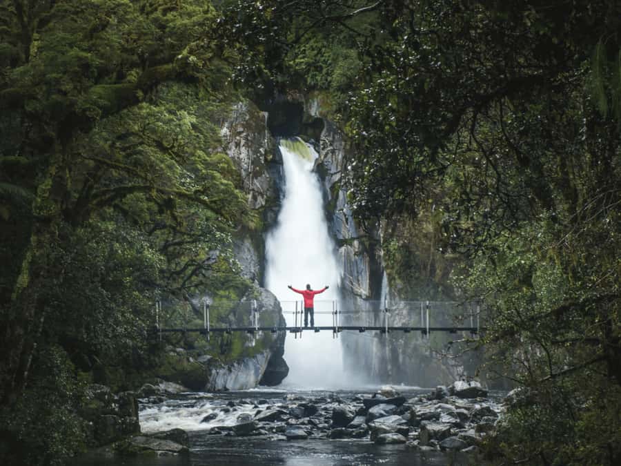Milford Sound: Nature Cruise & Milford Track Walk - Cruising beneath Stirling and Bowen Falls