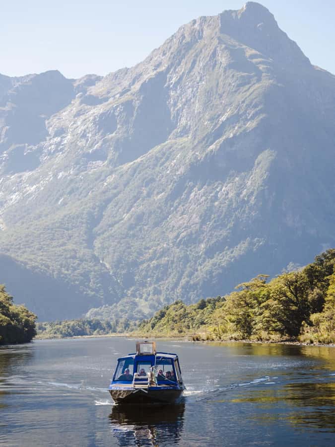 Milford Sound: Nature Cruise & Milford Track Walk - What the weather means for this outing