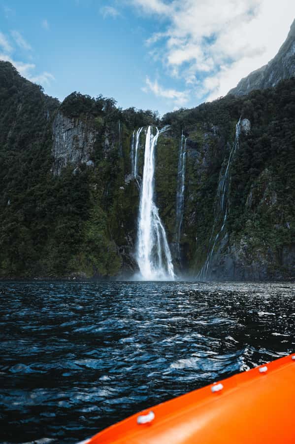 Milford Sound: Nature Cruise on a Modern Catamaran - Who will enjoy this cruise most