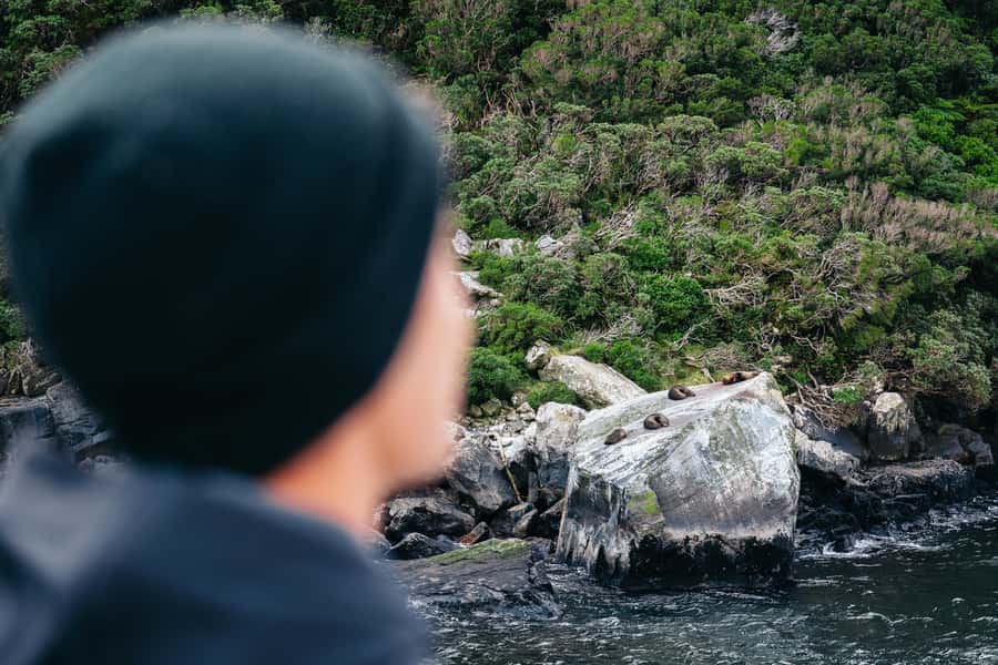 Milford Sound: Nature Cruise on a Modern Catamaran - Waterfalls are the main event