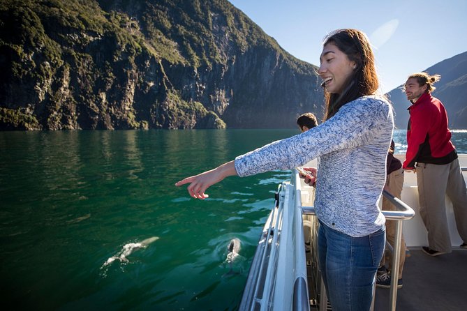 Milford Sound Nature Cruise with Southern Discoveries - Key points to know before you book