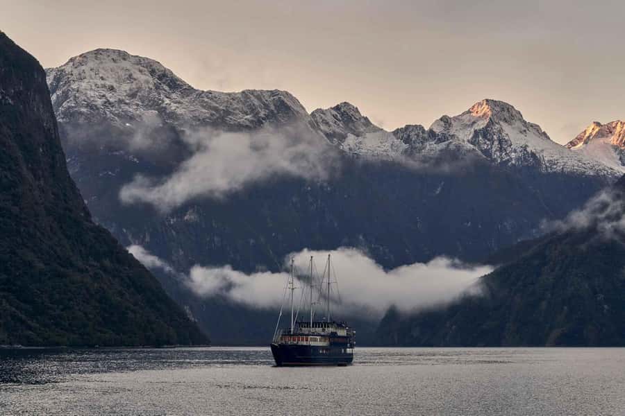 Milford Sound: Overnight Cruise with Water Activities - Watching for seals, dolphins, and penguins