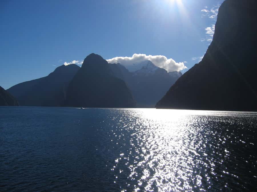 Milford Sound Premium Day Tour and Cruise from Te Anau - Who will enjoy this Milford Sound day trip?