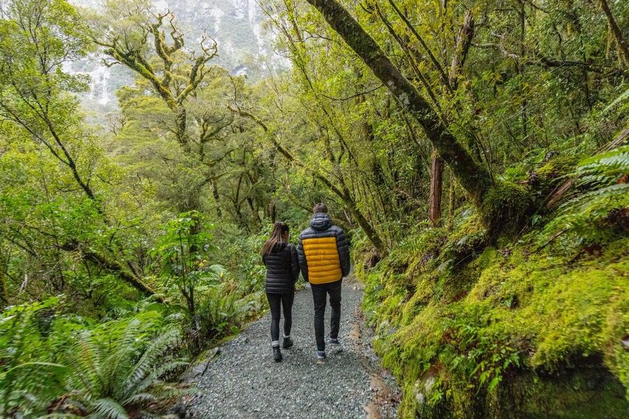 Milford Sound: Premium Small Group Tour from Queenstown - Who should book this Milford Sound tour?