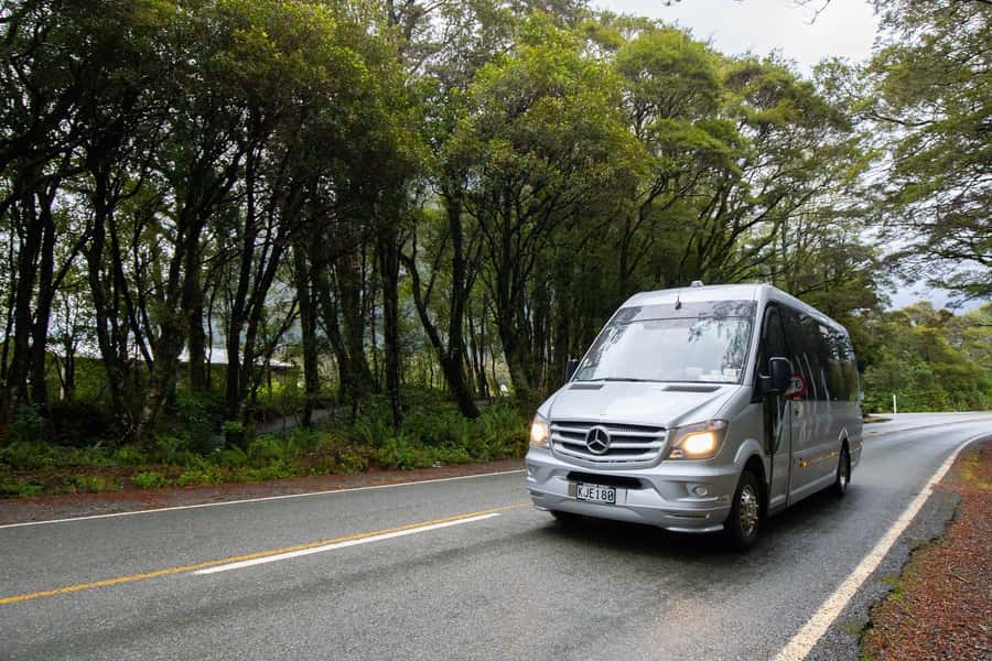 Milford Sound: Premium Small Group Tour from Queenstown - What the guides add to the day