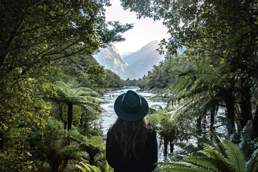 Milford Sound: Self-Guided Milford Track Day Walk - Finding the Deepwater Basin Boat Ramp