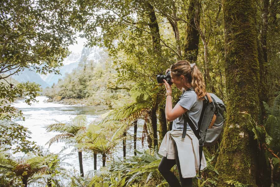 Milford Sound: Self-Guided Milford Track Day Walk - What You Are Paying For at $44