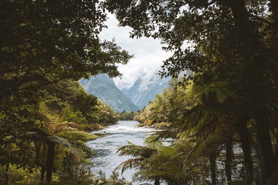 Milford Sound: Self-Guided Milford Track Day Walk - Practical Details Before You Book