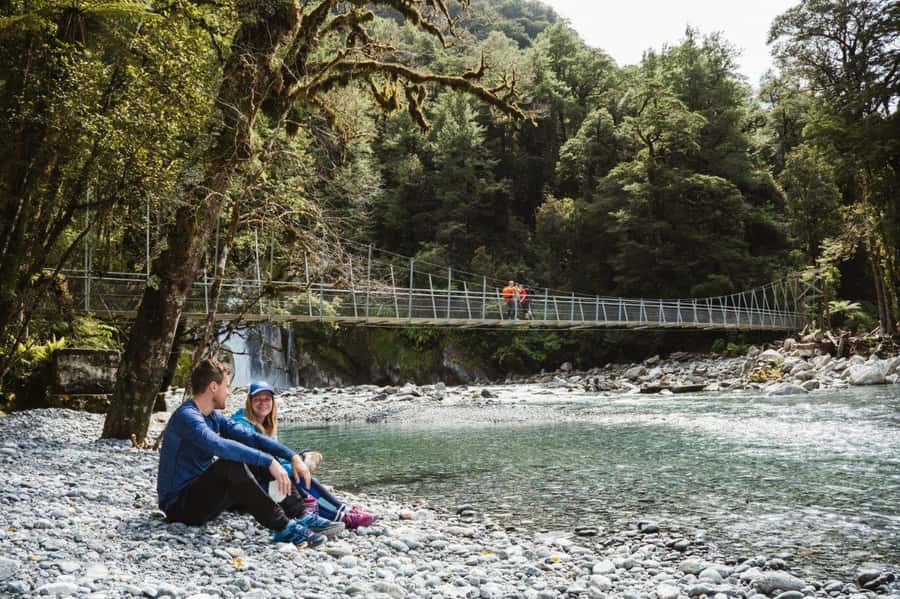 Milford Sound: Self-Guided Milford Track Day Walk - The Boat Ride to Sandfly Point