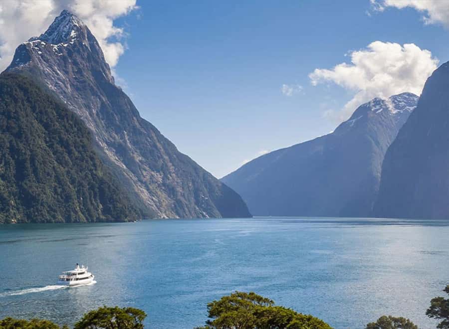 Milford Sound: Small-Group Tour from Te Anau - Key points to know before booking
