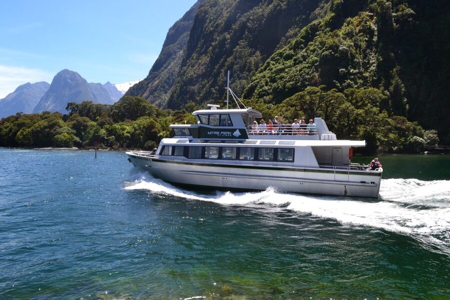 Milford Sound: Small-Group Tour from Te Anau - Scenic stops on the Milford Road