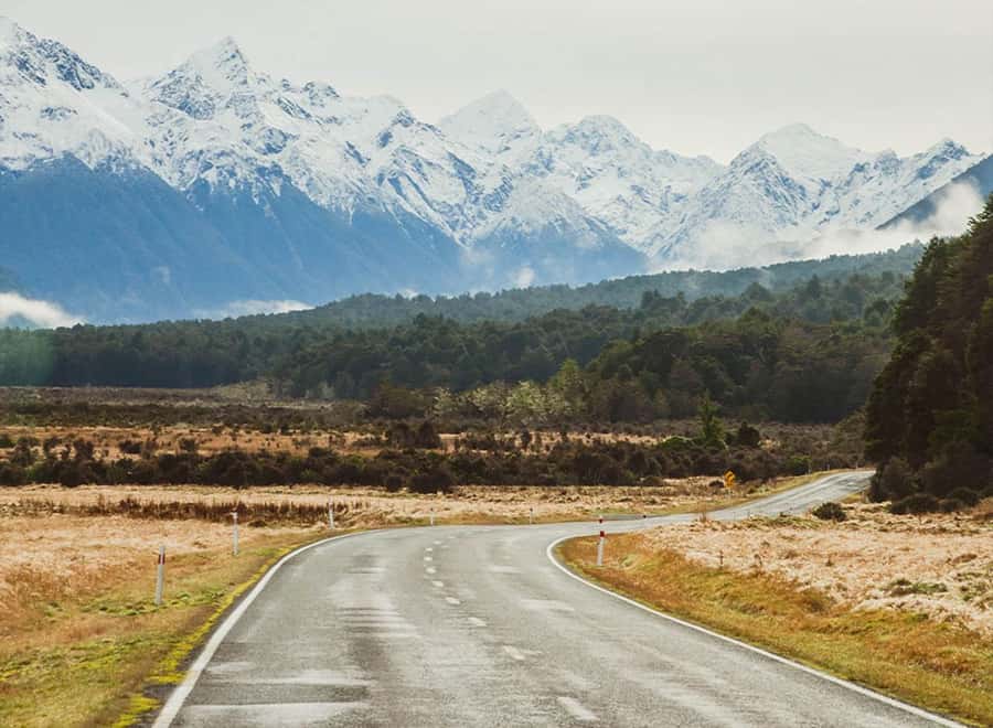 Milford Sound: Small-Group Tour from Te Anau - Is $178 good value?