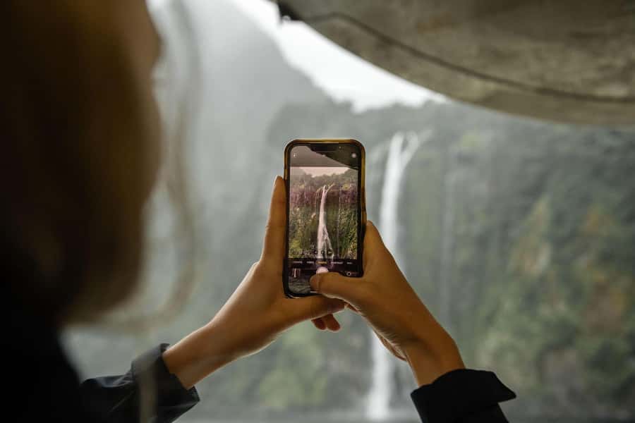 Milford Sound: Wildlife & Nature Cruises - Reaching the Milford Sound Visitor Terminal