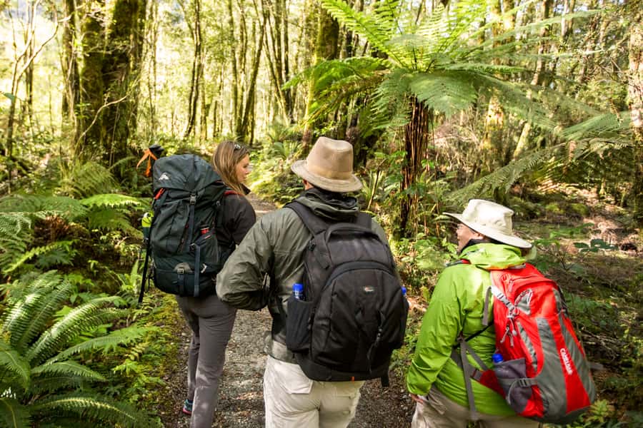 Milford Track: Full Day Guided Hike and Nature Cruise - What to pack for the weather