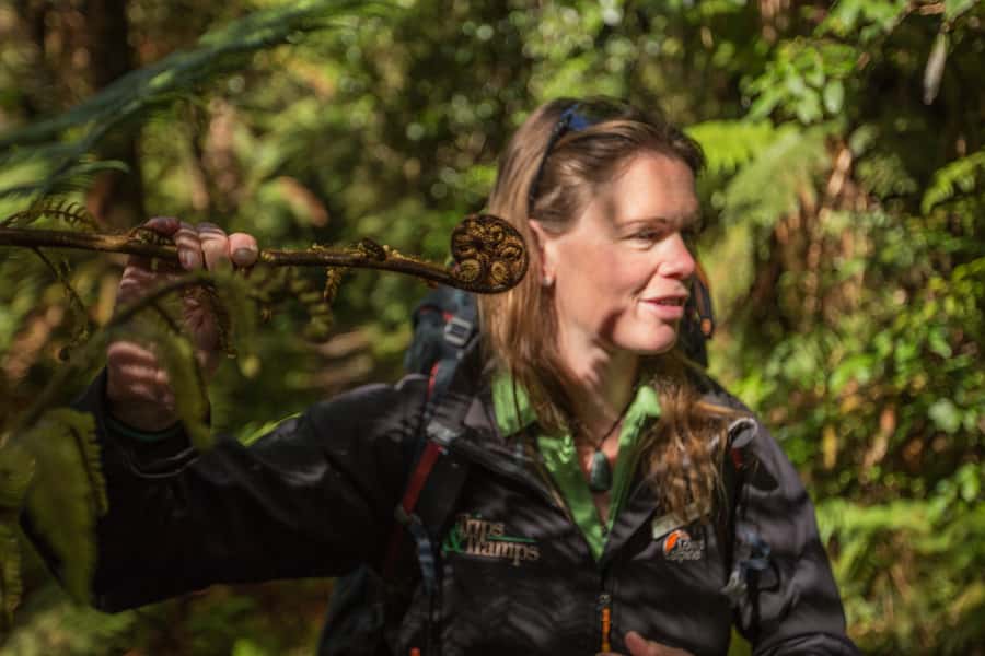 Milford Track: Full Day Guided Hike and Nature Cruise - Walking 11 kilometres beside the Arthur River