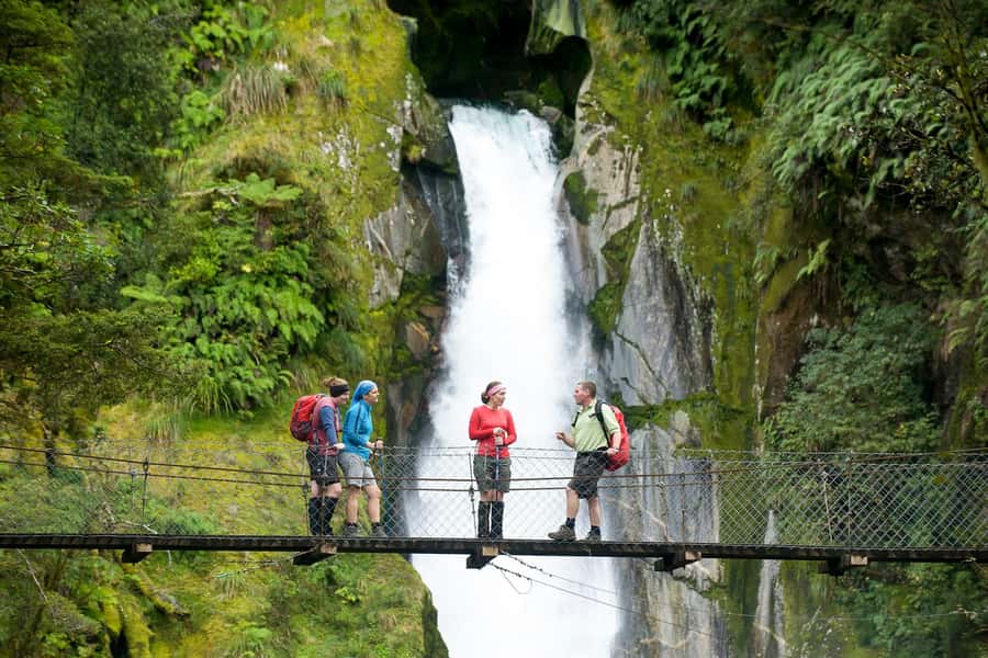 Milford Track: Full Day Guided Hike and Nature Cruise - Crossing to Sandfly Point by water taxi
