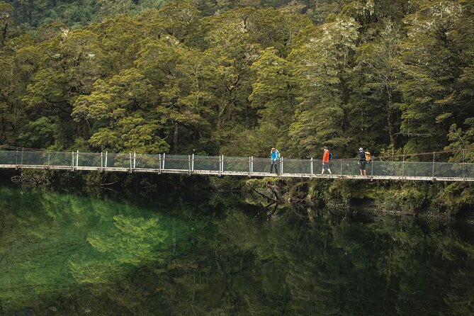 Milford Track Multi-Night Hike - Water Taxi Transport - Who Should Book This Water Taxi?