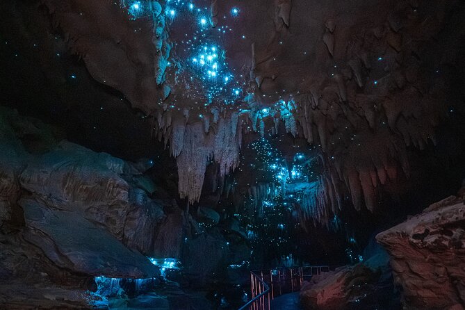 Milky Way Glowworm Cave Tour - What makes the Milky Way Glowworm Cave special