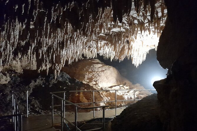 Milky Way Glowworm Cave Tour - The guide’s explanation adds real value