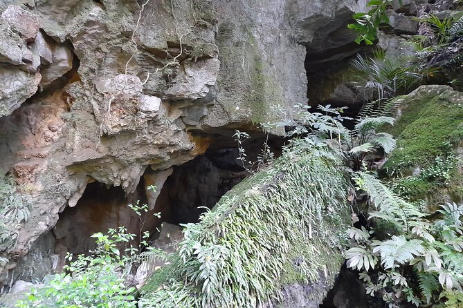 Milky Way Glowworm Cave Tour - How the price compares with the time involved